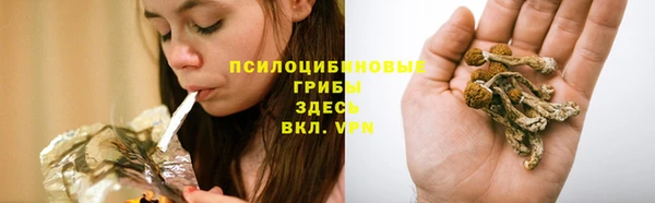 spice Балахна