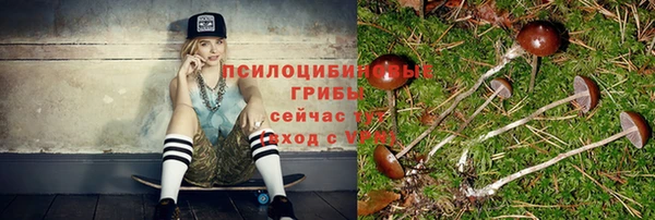 ALPHA-PVP Баксан