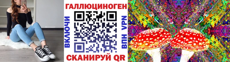 Купить закладки  Кола  Псилоцибиновые грибы Magic Shrooms 